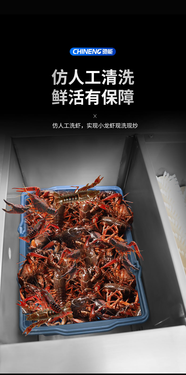 DB多宝视讯小龙虾清洗机仿人工清洗